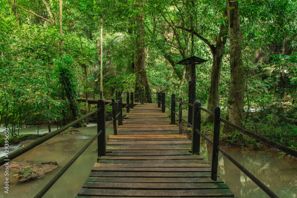 Obraz premium Waterfall in the forest and on the stream