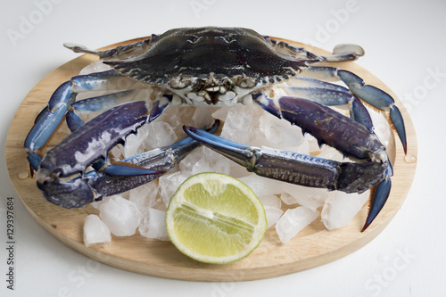 frash blue swimmer crab on wooden plate with ice