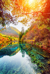 The Five Flower Lake among fall woods, Jiuzhaigou nature reserve