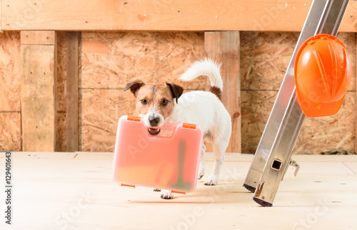 Dog as funny carpenter with hand saw and hammer in orange toolbox