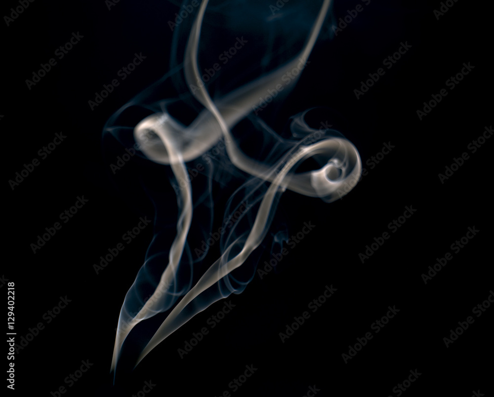 Fototapeta premium White smoke collection on black background