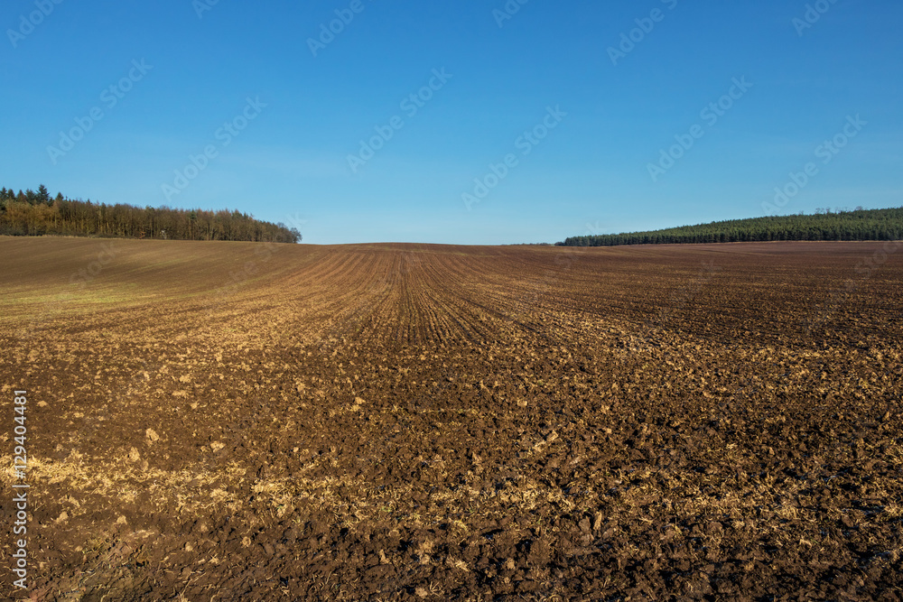 Minimalist autumnal landscape with plowed field
