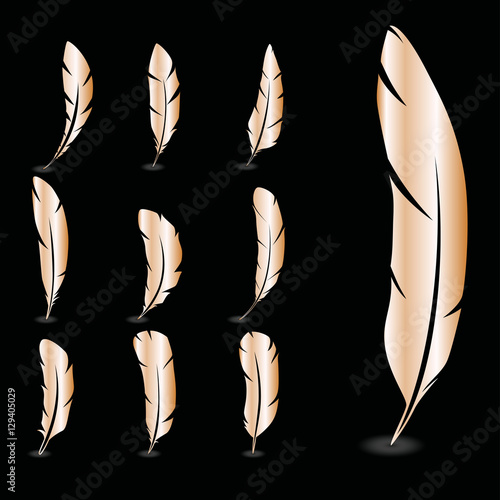 Set of feathers. Vector illustration.