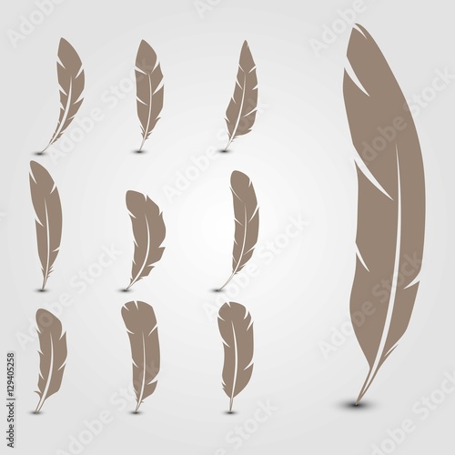 Set of feathers. Vector illustration.