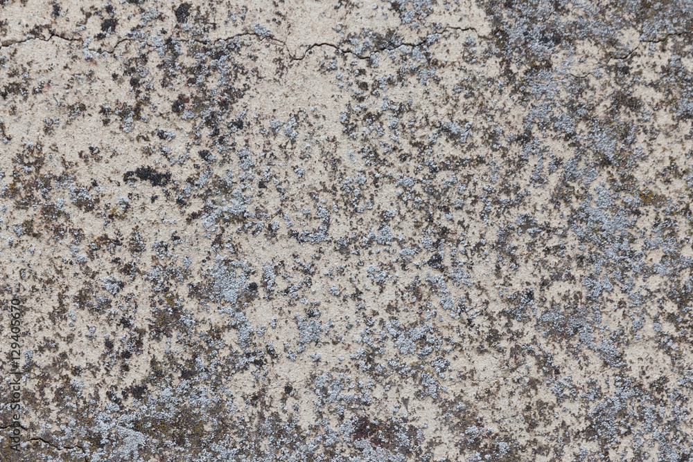 background texture shot background texture shot