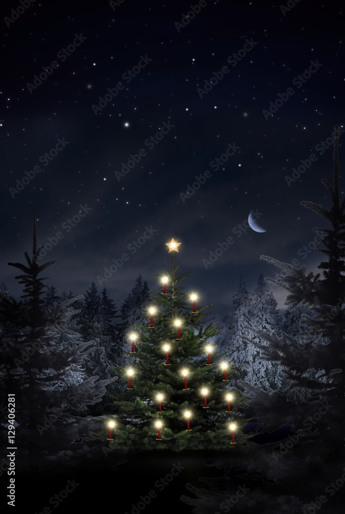 Fototapeta premium Weihnachtsbaum mit Kerzen