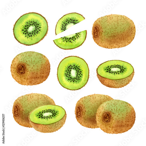 Watercolor vector kiwi