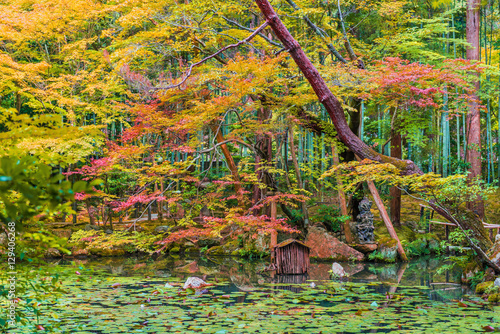 Fototapeta Naklejka Na Ścianę i Meble -  Gardens at Nanzen-ji Temple on Autumn with red maple in Kyoto, Japan.