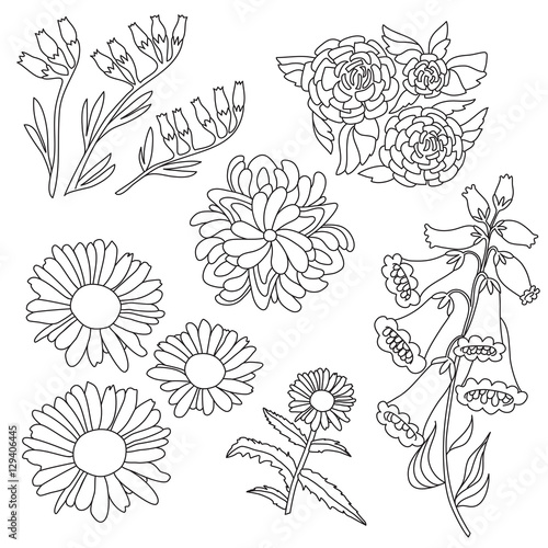 Set of black and white flowers