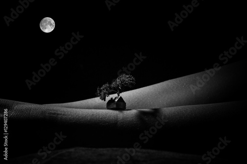 Monochrome bodyscape with a little house, that looks like a night landscape photo