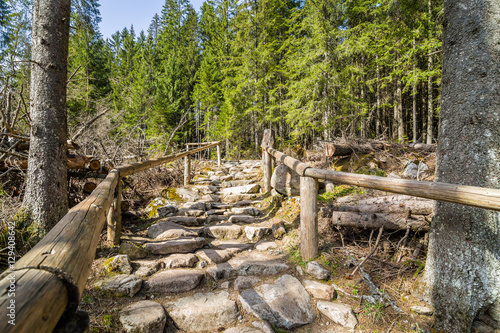 Zakopane, droga na Morskie Oko, góry Tatry