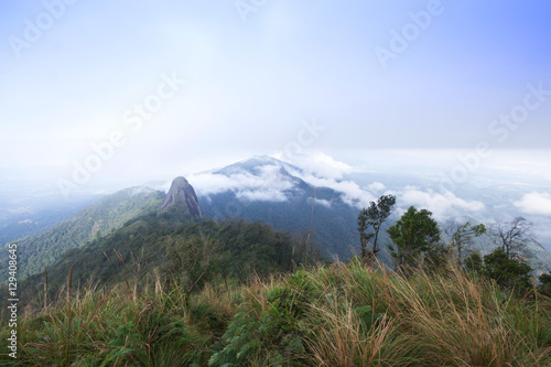 mountain in north Thailand through the fog
 photo