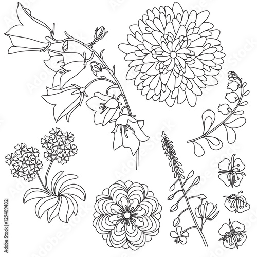 Set of black and white flowers