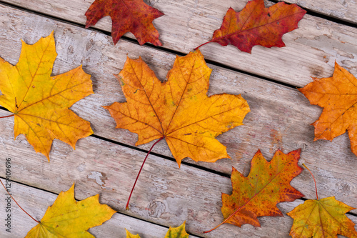 Oak and maple leaves on the old wooden background.