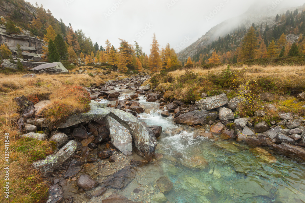 A mountain stream flows at fall A mountain stream flows at fall