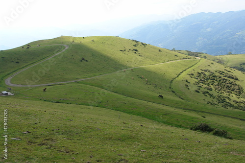 Paisaje restaurado con praderas, de una antigua explotación de carbón a cielo abierto. Con unas luz muy especial