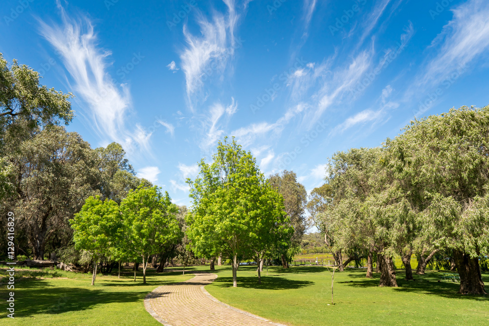 Stone Pathway in a Yanchep National Park Stone Pathway in a Yanchep National Park
