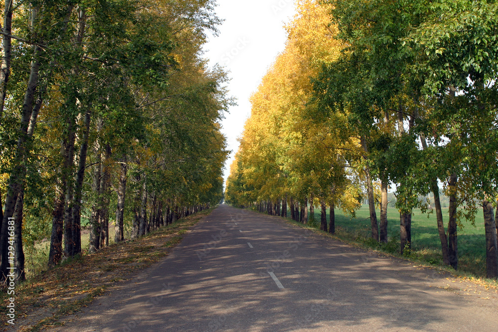 Fototapeta premium Road to sunset