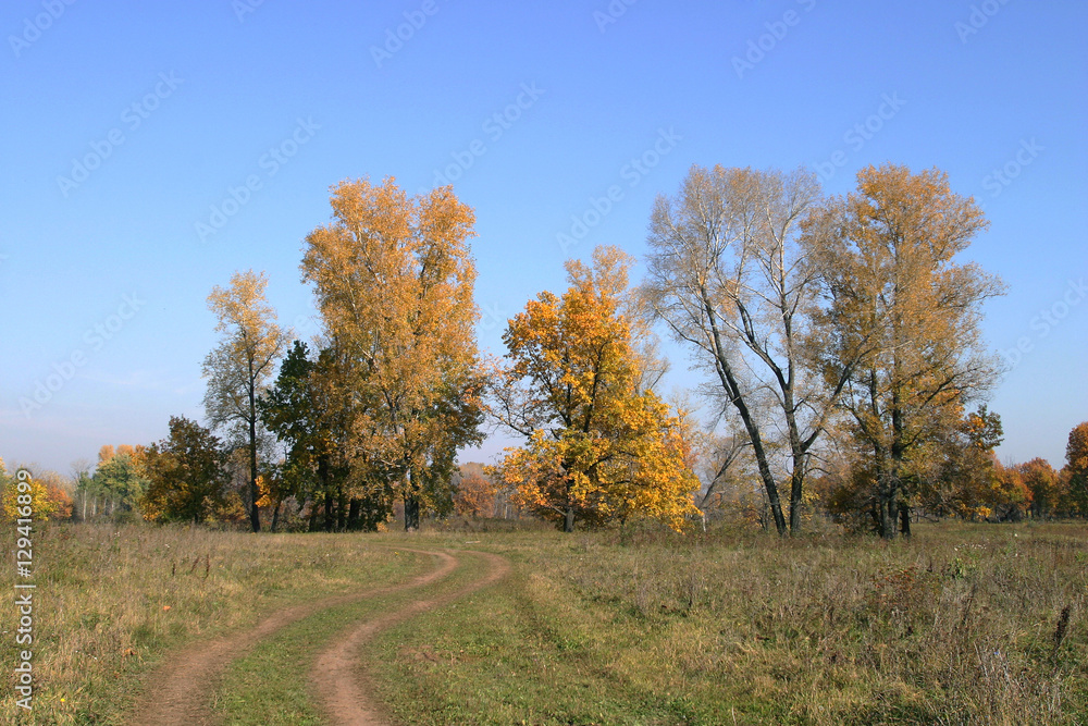 autumn landscape