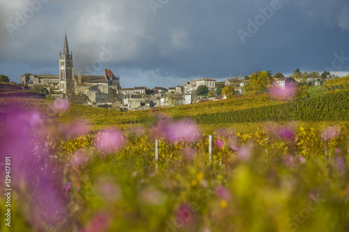Billede på lærred Vineyards of Saint Emilion, Bordeaux, France