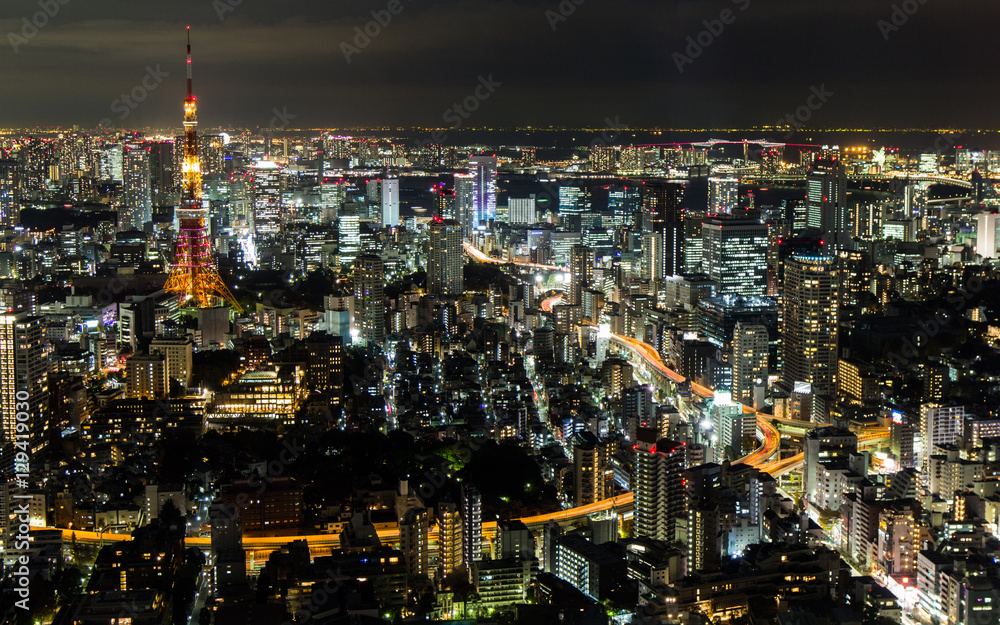 Fototapeta premium Tokyo nightscape