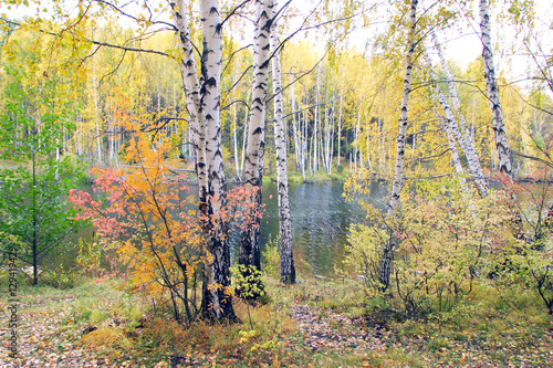 Fototapeta Naklejka Na Ścianę i Meble -  Autumn Landscape