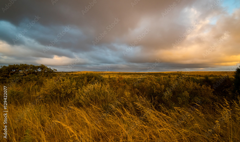 Outback Western  Australia , sunset scene .