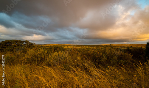 Outback Western  Australia   sunset scene .