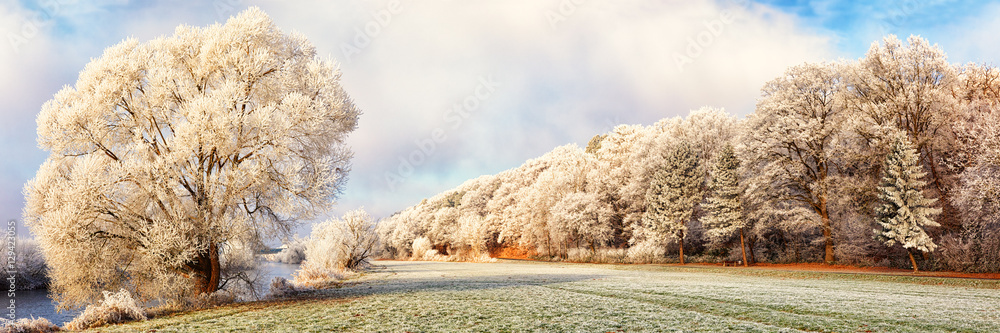 Winter Landscape Panorama, Germany - obrazy, fototapety, plakaty 