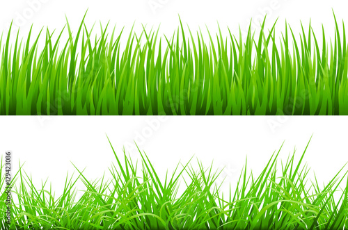 2 Backgrounds Of Green Grass, Isolated On White Background, Vector Illustration