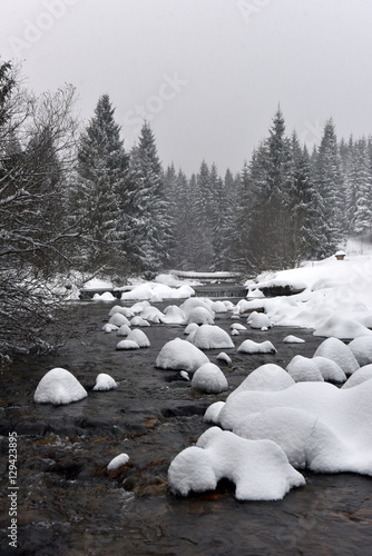 Small water stream, river covered with snow