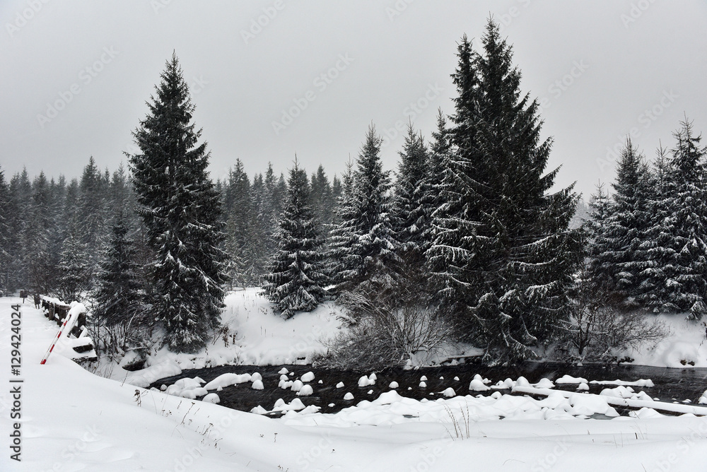 Winter landscape of a small snowy river
