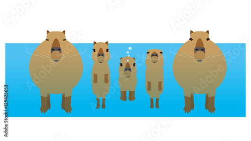 カピバラ