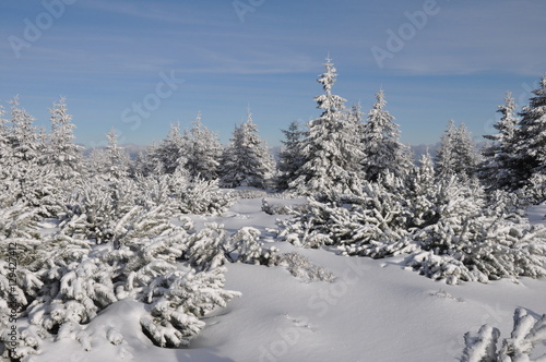 Winter im tschechischen Riesengebirge/Krkonoše