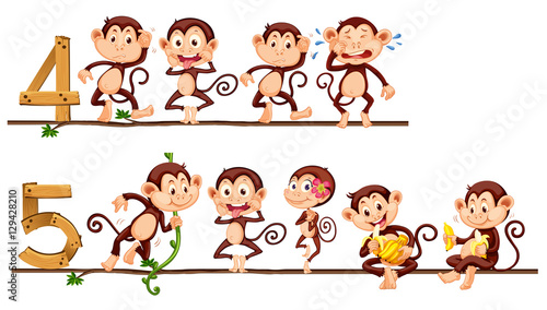 Counting number four and five with monkeys