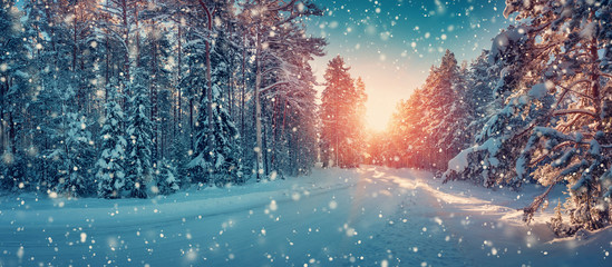 winter panorama on the road through coniferous forest