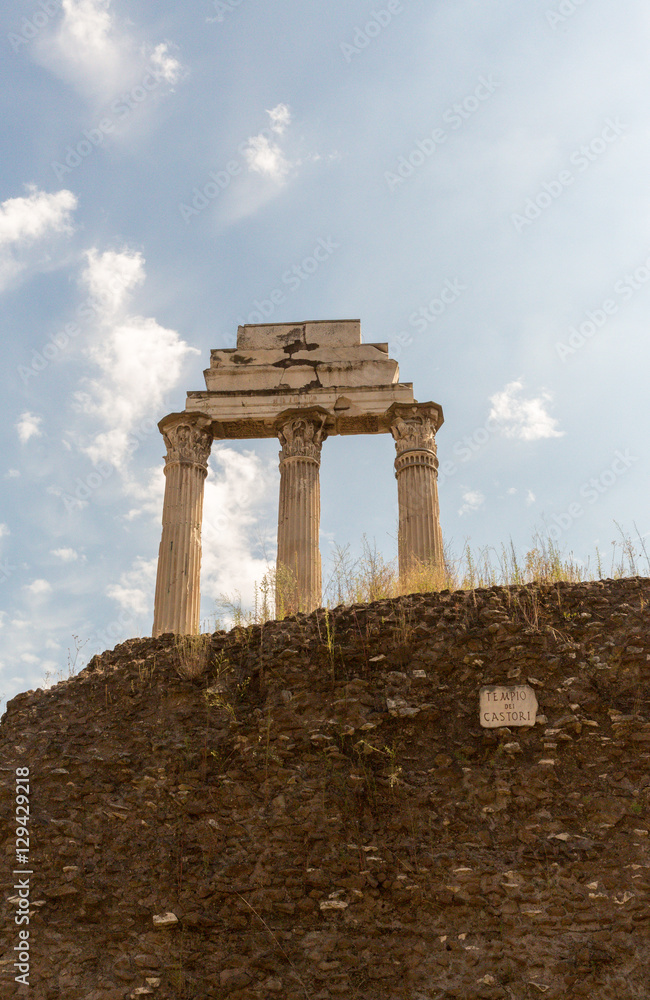 Fototapeta premium Ancient ruins in Rome