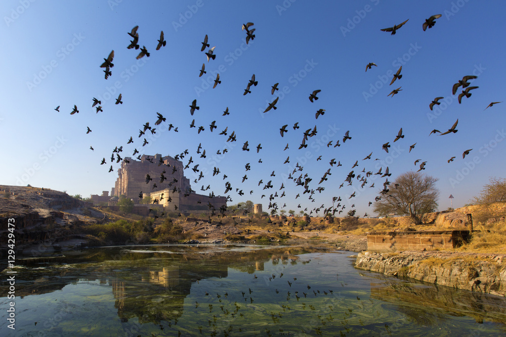 Obraz Amazing Jodhpur