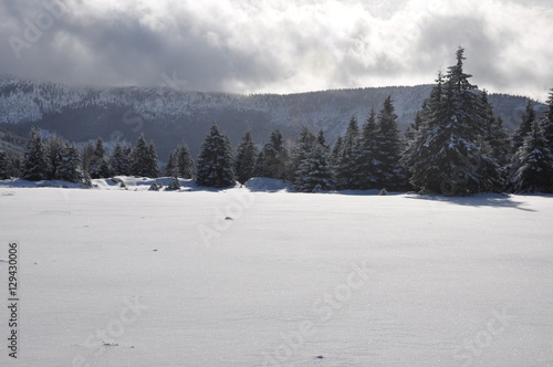 Winter im tschechischen Riesengebirge/Krkonoše © Buesi