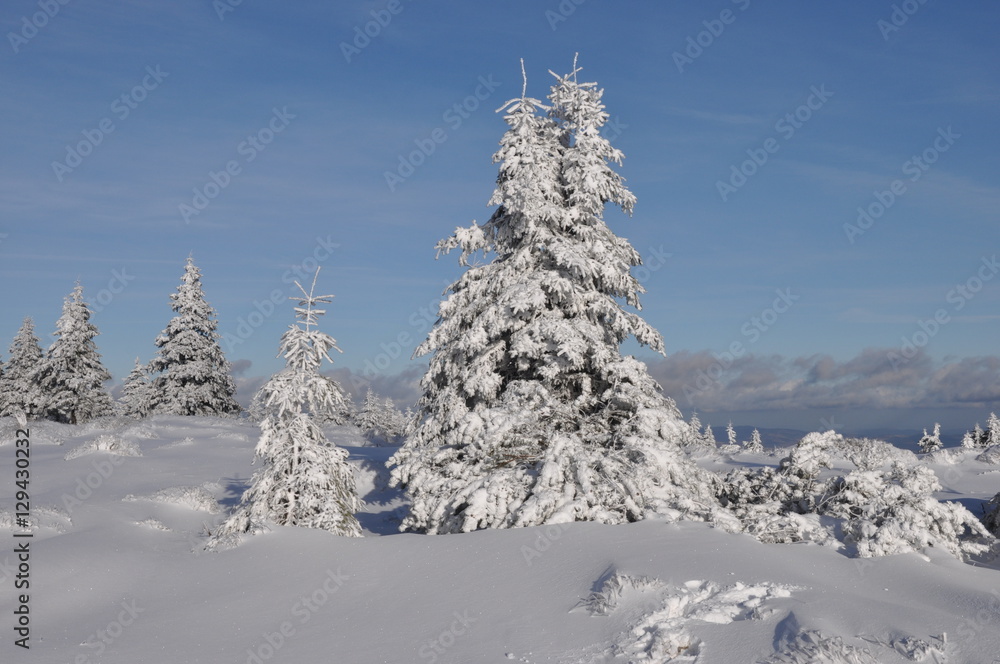 Winter im tschechischen Riesengebirge/Krkonoše
