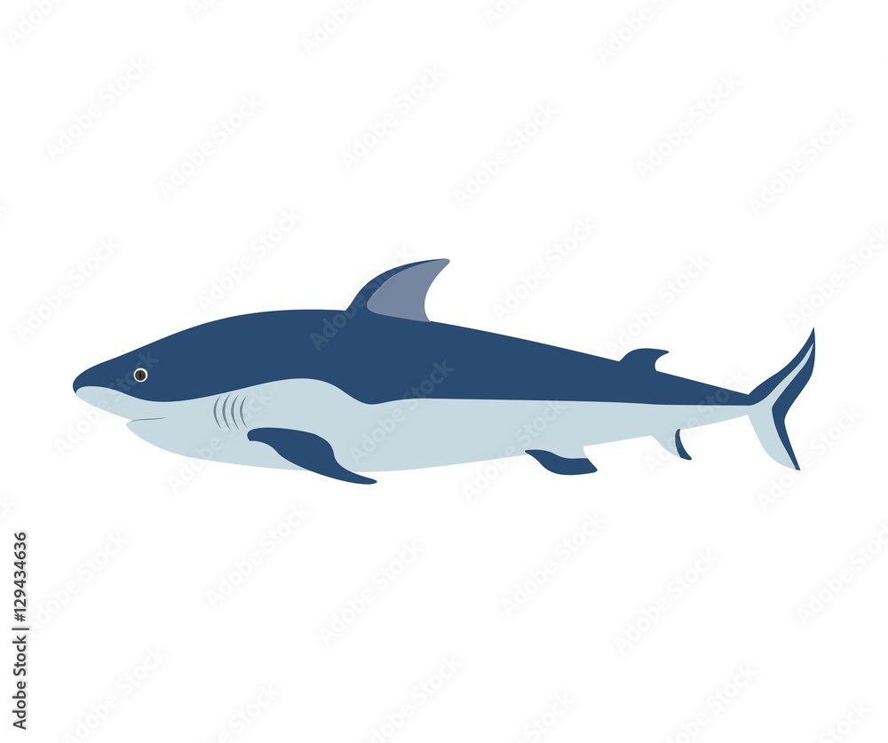 Naklejka premium colorful silhouette with sea shark vector illustration