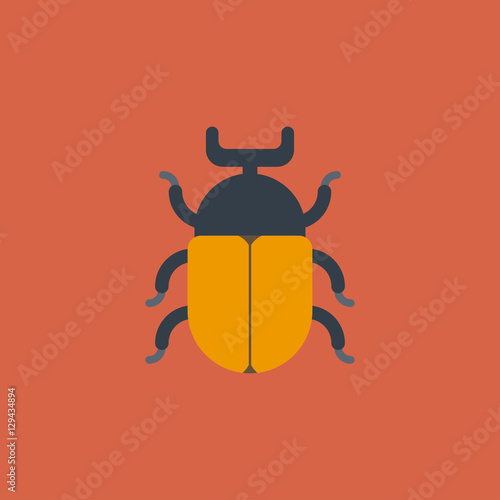 beetle icon. flat design