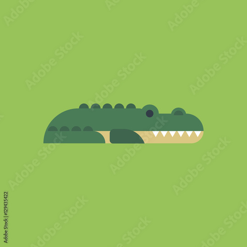 crocodile icon. flat design