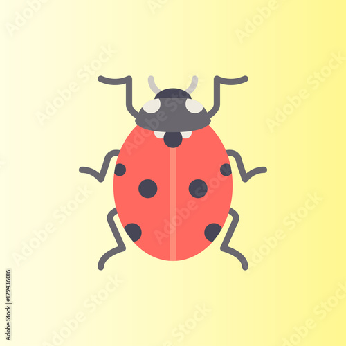 ladybug icon. flat design