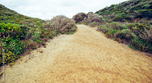 Steps leading down to beach at Torndirrup National Park, Albany, Western Australia, Australia.vintage toning  filter add . photo