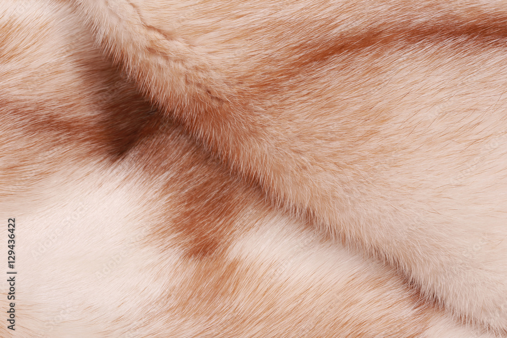 Obraz premium fur mink