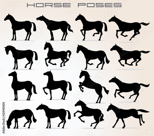 Horse Icons. Different Poses and Figures