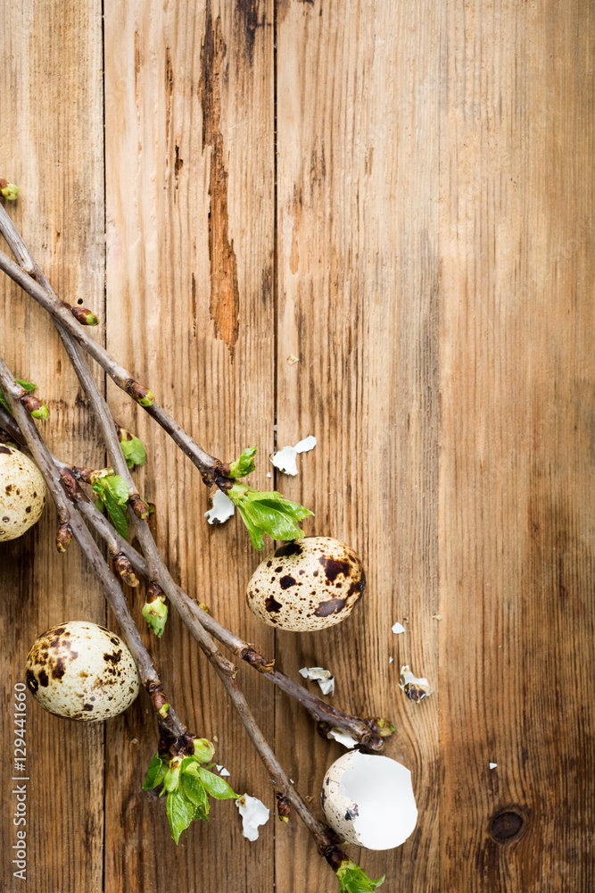 Quail eggs, green branches on old wooden background. Easter background with copy space for text. Quail eggs, green branches on old wooden background. Easter background with copy space for text.