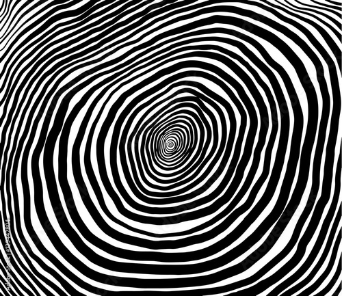 Vector spiral. Spiral. The concentric circles. The silhouette of the spiral. Effect  hypnosis  the symmetry of the spiral.