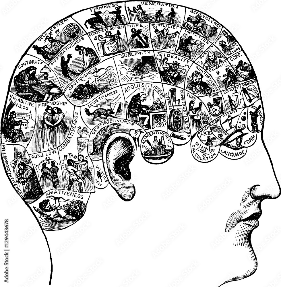 Obraz premium Vintage image phrenology